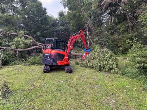 Scobey 4 Hire tree removal Scobey 4 Hire tree removal