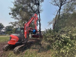 Scobey 4 Hire brush clearing Scobey 4 Hire brush clearing