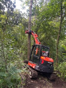 Scobey 4 Hire tree removal Scobey 4 Hire tree removal